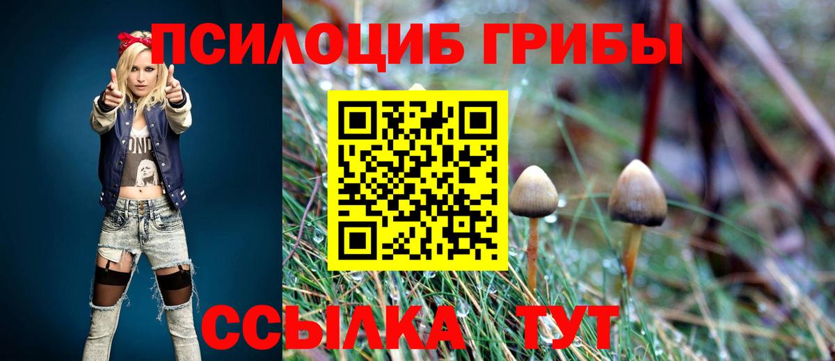Чернушка  Галлюциногенные грибы Psilocybine cubensis  Вход с VPN  Галлюциногенные грибы GOLDEN TEACHER 