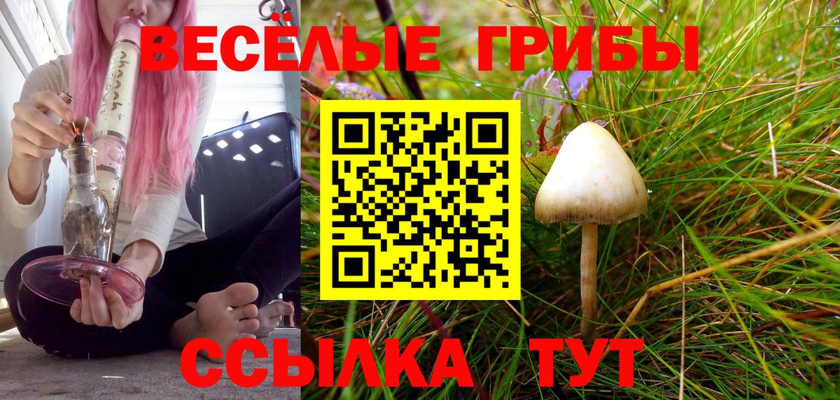 Псилоцибиновые грибы мухоморы Чернушка